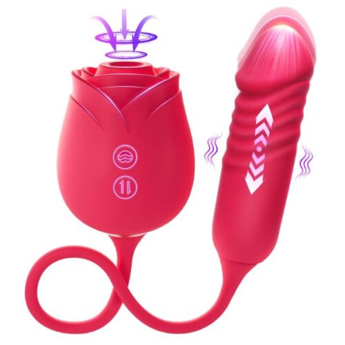 Vibrator Dildo Sex Toys for Women
