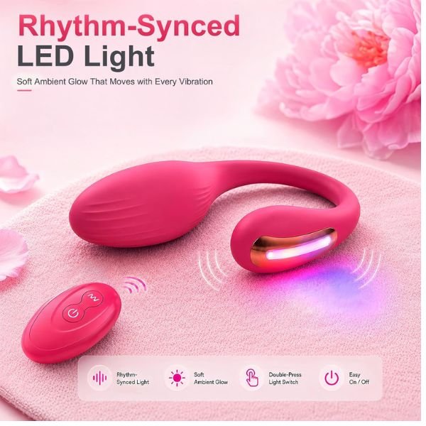 App Controlled Long Distance Vibrator
